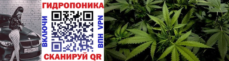 Как найти наркотики Карасук Кодеин Конопля Кокаин Alpha-PVP Амфетамин