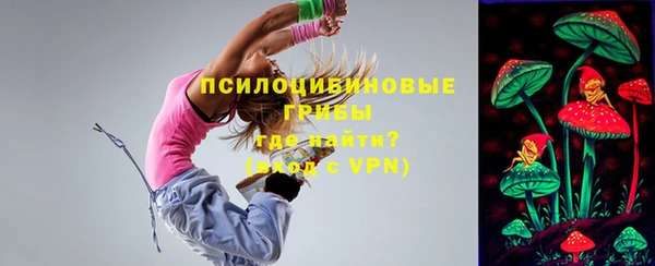 гидра Абаза