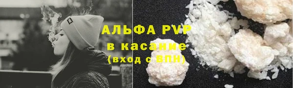 гидра Абаза
