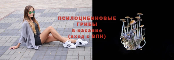 гидра Абаза