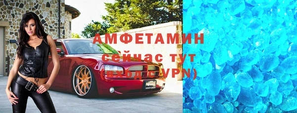 гидра Абаза