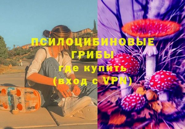 гидра Абаза