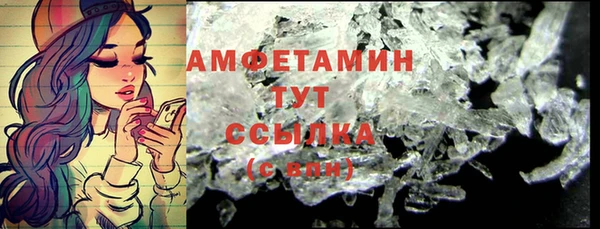 прущие грибы Рославль
