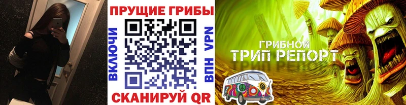купить наркоту  Карасук  Псилоцибиновые грибы Psilocybe 