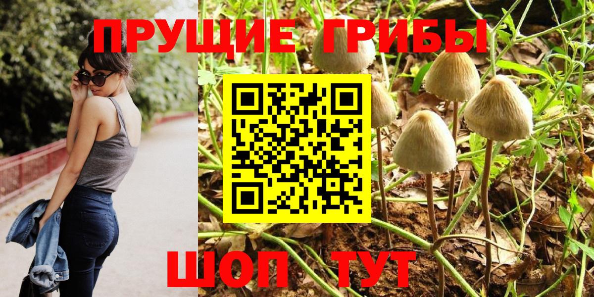 Галлюциногенные грибы Magic Shrooms Карасук